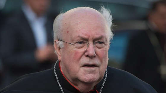 big-cardinal_danneels