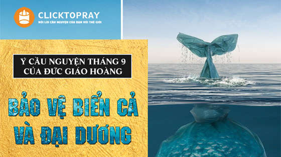 big-y nguyen duc giao hoang