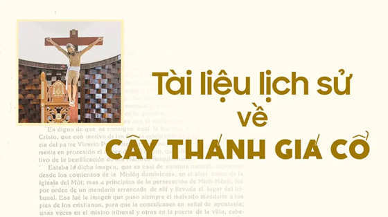 giao-phan-bac-ninh-tai-lieu-lich-su-ve-cay-thanh-gia-co