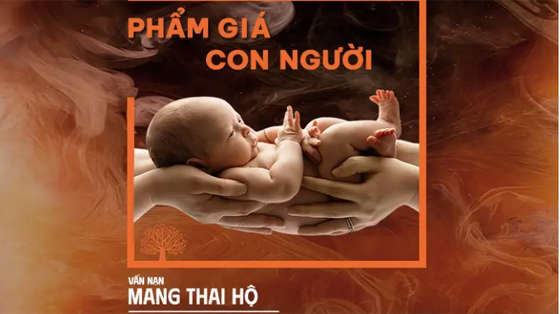 van-nan-mang-thai-ho-va-viec-bao-ve-pham-gia-con-nguoi