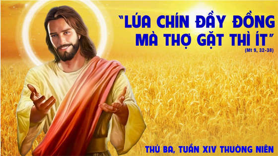 Mt 9, 32-38-thu-ba-tuan-14-thuong-nien-nam-c