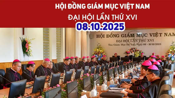 dai-hoi-xvi-hoi-dong-giam-muc-viet-nam-ngay-0810