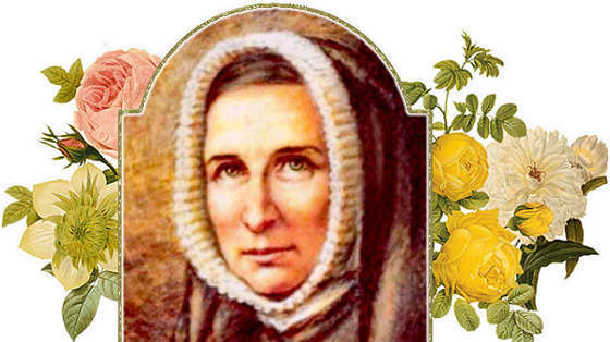 big-Rose Philippine Duchesne