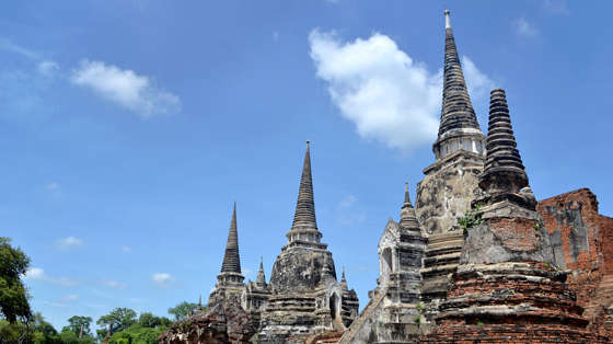 big-thai lan
