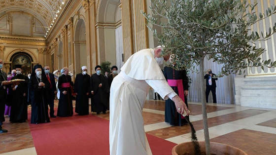 bao-ve-ngoi-nha-chung-tu-cong-dong-vatican-ii-den-laudato-si