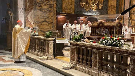 duc-hong-y-parolin-thanh-teresa-hai-dong-giesu-la-mot-nguoi-khong-lo-cua-su-thanh-thanh-thien