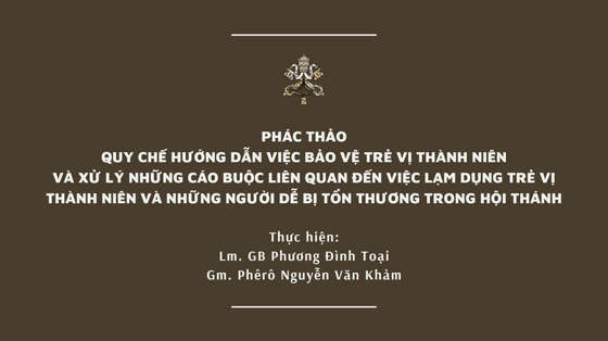 phac-thao-quy-che-huong-dan-viec-bao-ve-tre-vi-thanh-nien-trong-hoi-thanh
