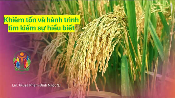 khiem-ton-va-hanh-trinh-tim-kiem-su-hieu-biet