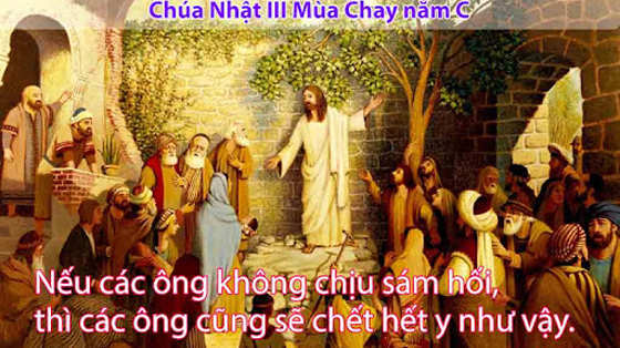 gia-vi-cho-bai-giang-le-chua-nhat-3-mua-chay-nam-c-2025