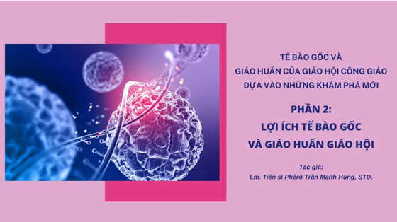 te-bao-goc-va-giao-huan-cua-giao-hoi-cong-giao-dua-vao-nhung-kham-pha-moi-2-loi-ich-te-bao-goc-va-giao-huan-giao-hoi