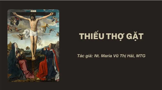 thieu-tho-gat